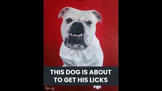 Le Bulldog - (Dog Portrait 2023)
