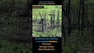Ukrainians are killing Ukrainians