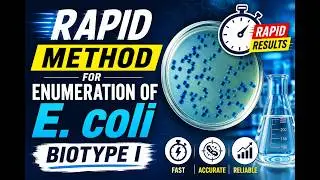 Rapid Method for Enumeration of E. coli Biotype I