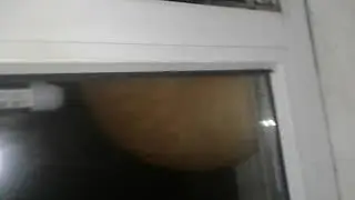Питерский
