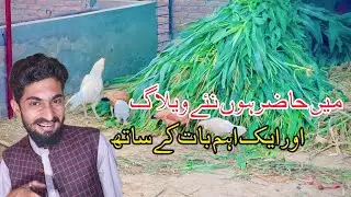 Me Hazir Ho Aik Aham Bat K Sath|#sraikivlogs #sraikimushera #duet #entertainment #gym #funny