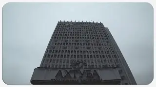 ПРИЕХАЛ В ВОЛЖСКИЙ — ЧУТЬ НЕ СОЖРАЛИ ГОЛУБИ