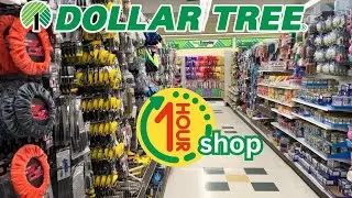 1 HOUR SHOP DOLLAR TREE *compilation