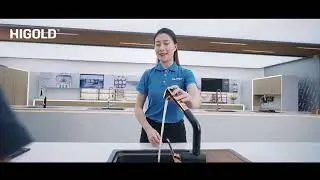 HIGOLD group