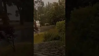 The beauty of rain 