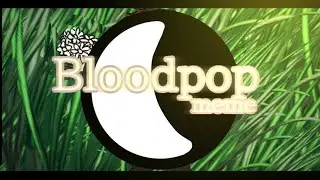 BLOODPOP MEME