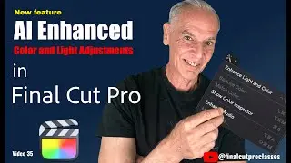 AI Enhanced Color and Light Adjustments FCPX