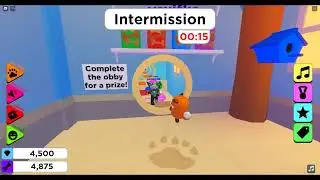 Играю   роблокс  игр про петом