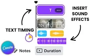 How to make text appear in CANVA and insert Sound effects