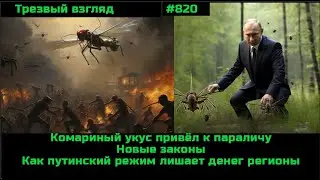 ЛЗН набирает обороты.  Новые законы и как демонтируют регионы