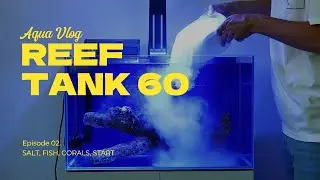 Reef tank 60. Episode 2. Salt. Fish. Corals. Start.