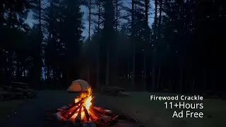 11 Hours of Campfire Sounds 🔥 Crackling Fire for Sleep, Relaxation, and Study