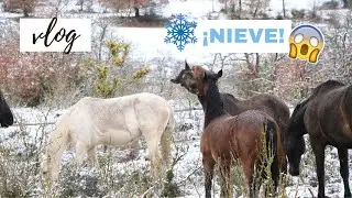 Entrenamos + ¡NIEVE en la hípica! - VLOG | Laia x Xaloc