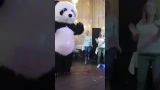 поздравление с днем рождения от  Медведя Панды