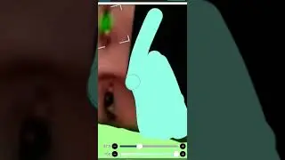 нарисовал весь улей