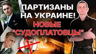 Партизаны на Украине! Диверсанты и 