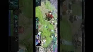 Крысиный гайд на керри 