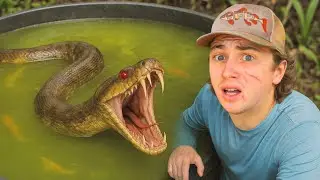 I Discovered a Monster in My Pond!
