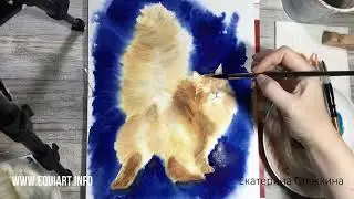 Кот акварелью / Watercolor cat