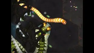 Little Big Snake! Start to Rebel in 2 Mins.!!