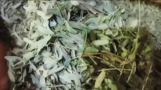 BOBRE CATTLE FEED