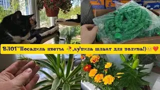 VLOG 