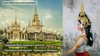 Развитие воли в разных воплощениях. Земные и животные Души в теле человека. #ментальнаяразведка