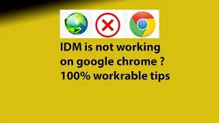 IDM Extention is not working in Google chrome