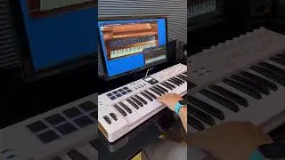 CherryAudio Novachord + Solovox　
