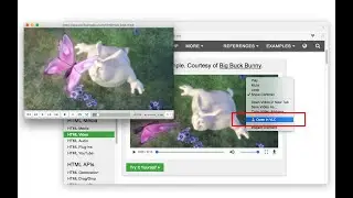 Open in VLC - Browser Extension Review