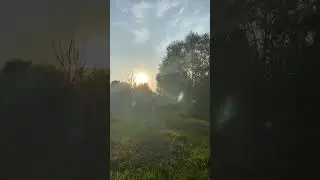 С выпаса на ужин домой бегом) #лошади #horse #equestrian #animals