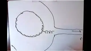 F+ F- F', Hfr strains, viral transduction, Benzer Experiment