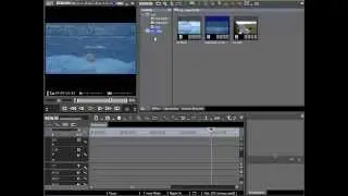 025.  Searching Clips in Bin.