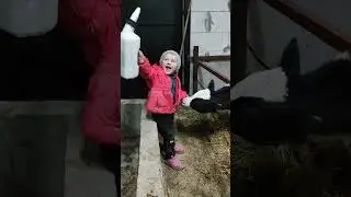 Маленькая помощница!