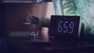 Тимати до далеко