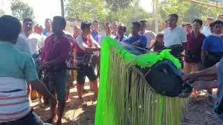 Kedukaan Kampung Matawee Lurri || BUDAYA SUMBA