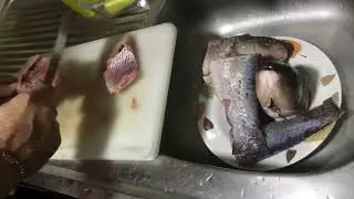 PART 2 NAKAPAGLUTO NA SI ABO MALIK (INSTANT RICE FOR FISH BERIYANI) | MERLE'S CHANNEL