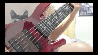 Light Years   Janek Gwizdala   Bass solo cover