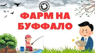 Фарм на буффало! На что и где клев? 100+ хвостов в час РР4 / Русская рыбалка 4