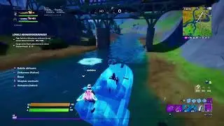 Fortnite zoken