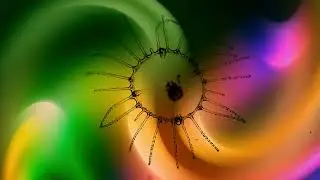 Jellyfish _ 4K Background Video _ Infinite Motion Loop