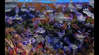 Particles wave transition preview