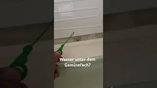 Wasser unter dem Gemüsefach?
