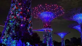 Garden Rhapsody | Gardens by the Bay | Singapore | Lights and Sound Show