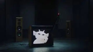 Find the codes... Full Twenty one Pilots LOC -061-220-2012P video (loop)