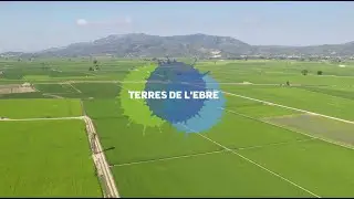 Terres de l'Ebre, l'essència que ens defineix