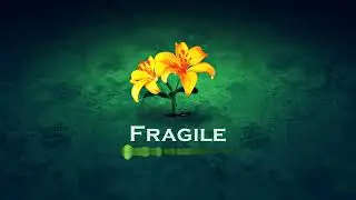 AFRO INSTRUMENTAL - FRAGILE - AFRO ☯ SHADOW