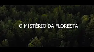 O MISTÉRIO DA FLORESTA - FILME DE TERROR EM CURTA METRAGEM