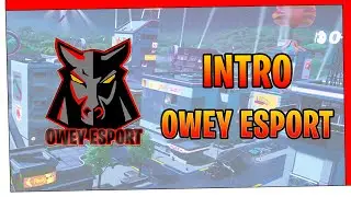 INTRO 3D for OWEY ESPORT