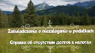 Zaświadczenie o niezaleganiu w podatkach. Справка об отсутствии долгов в налогах. Karta po bytu.